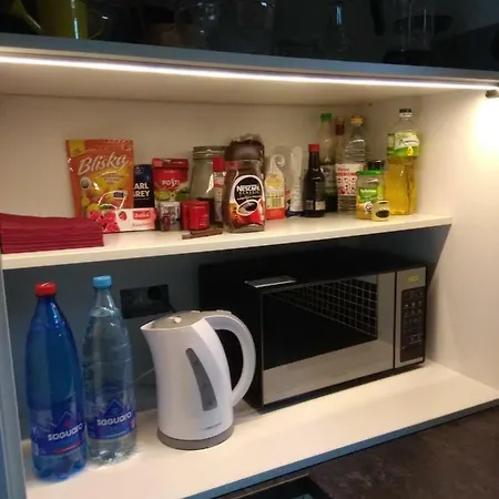 Apartment Luxury With Own Parking Chorzow