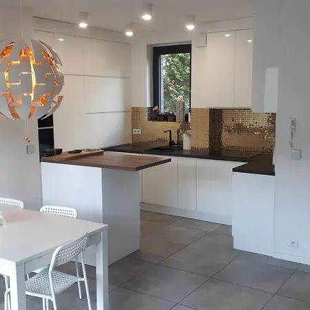 Apartment Luxury With Own Parking Chorzow